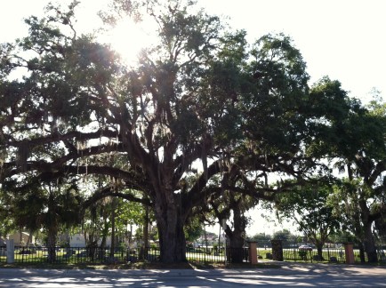 Live Oak Bonita Cemetery